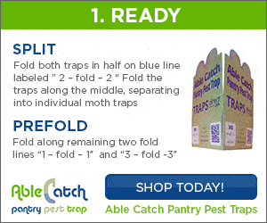 Able Catch Pantry Moth Traps 
